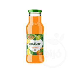 Grante multifruit juice 250 ml