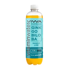 Viwa brainboost ginkgo biloba-zöldtea vitaminvíz 600 ml