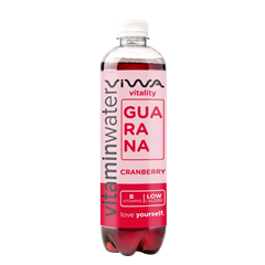 Viwa vitality vitaminvíz 600 ml